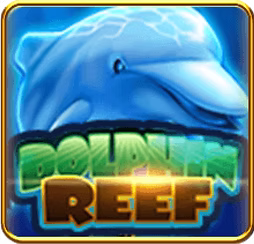 slot dolphin reef